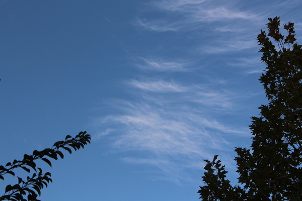 ���α����Ķ�/�����Ƥ������ǡ����١���