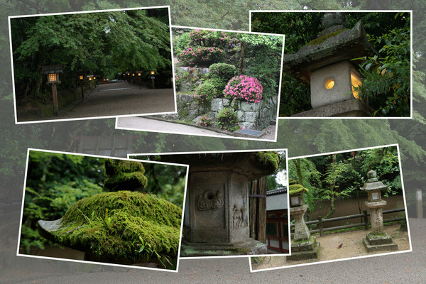 ���ɤ��о���ܡֱ��λ�ƻ�����Ʒ���/�����Ƥ������ǡ����١���