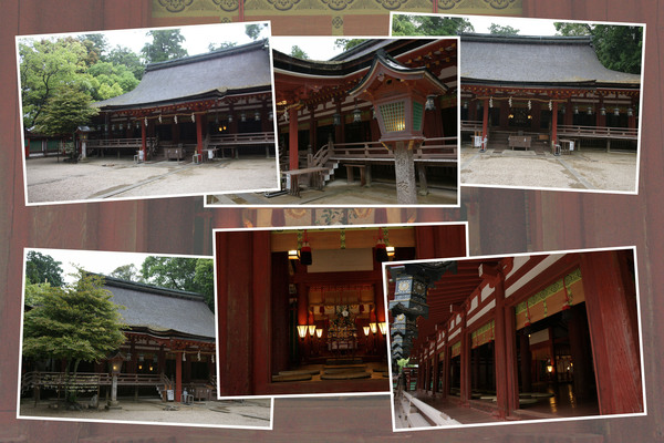 ���ɤ��о���ܡ����¡���ϭ�γ��Ѥ���ѡ�/�����Ƥ������ǡ����١���