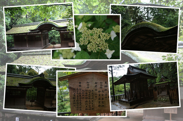 �о���ܤΡ��ݼҽб���ͺ���� ���¡ʹ���)��/�����Ƥ������ǡ����١���