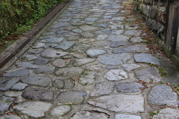 ��ʿ�������о���ƻ��/�����Ƥ������ǡ����١���