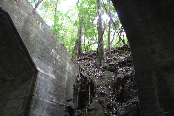 ���ܡ���Τ��Ȭ�ѥȥ�ͥ��Ŵƻ�乽�ˤ��ɴ֡�/�����Ƥ������ǡ����١���