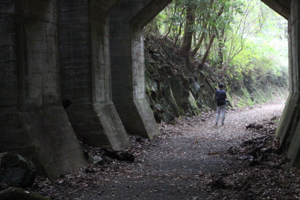 ���ܡ���Τ�Ρ�Ȭ�ѥȥ�ͥ��Ŵƻ�乽�ˡ�/�����Ƥ������ǡ����١���