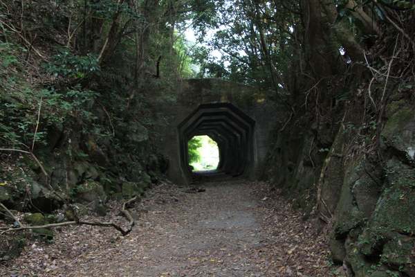 ���ܡ���Τ�Ρ�Ȭ�ѥȥ�ͥ��Ŵƻ�乽�ˤȴ��ɡ�/�����Ƥ������ǡ����١���