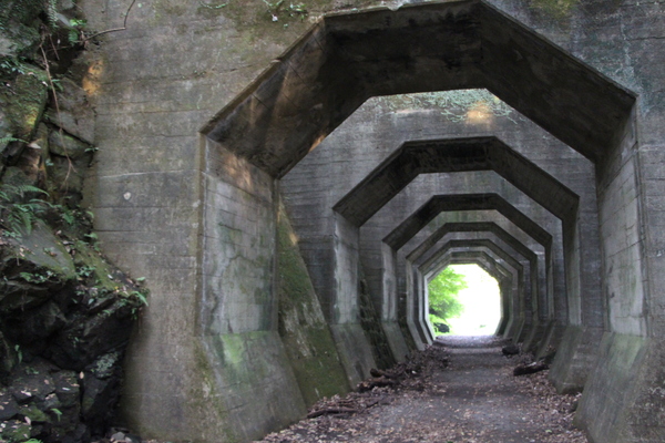 ���ܡ���Τ�Ρ�Ȭ�ѥȥ�ͥ��Ŵƻ�乽�ˡ�/�����Ƥ������ǡ����١���