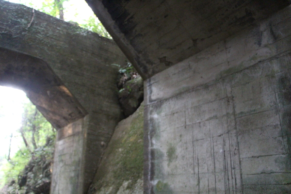 ���ܡ���Τ��Ȭ�ѥȥ�ͥ��Ŵƻ�乽�ˤΥ��󥯥꡼���ɡ�/�����Ƥ������ǡ����١���