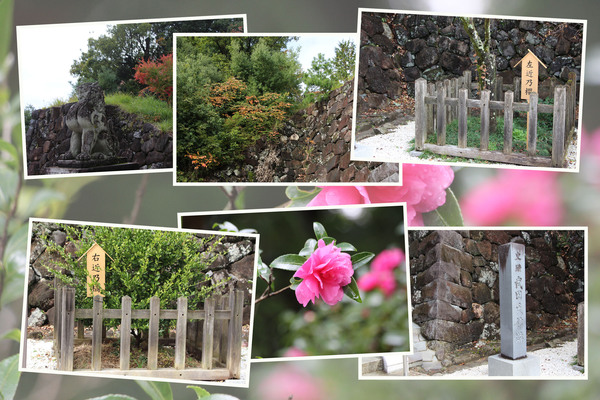 Ŀҡгȱᡦε̡/Ƥǡ١