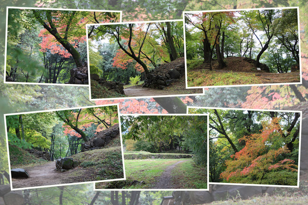 סָ׸硦Ѥߡ/Ƥǡ١