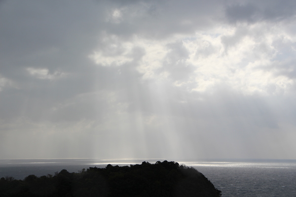 ��������Ρָ����Ӥȳ��̡�/�����Ƥ������ǡ����١���