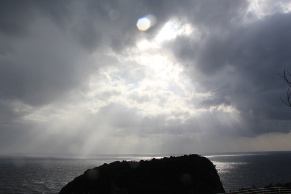 ���֤���Ρָ��Ӥȳ��̤ε�����/�����Ƥ������ǡ����١���