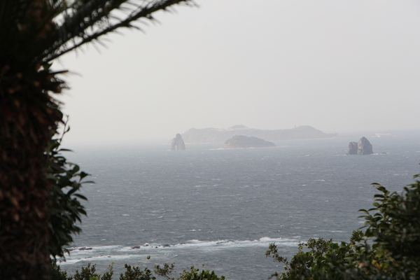 �������Ρֲ���ξ��緲��/�����Ƥ������ǡ����١���