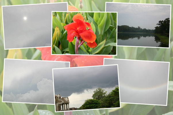 ���󥳡��롦��åȡ���Υ����������������/�����Ƥ������ǡ����١���