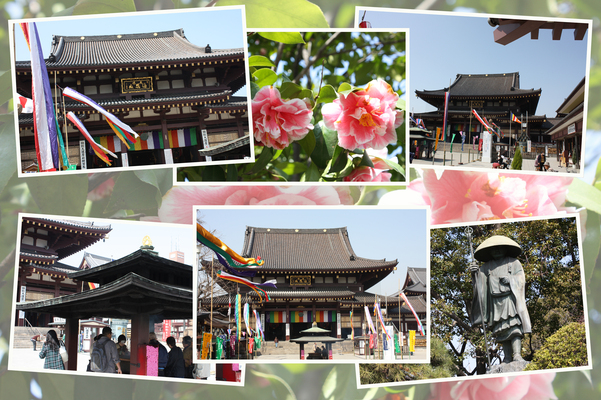 春の川崎大師「大本堂と周辺」/癒し憩い画像データベース 春の川崎大師「大本堂と周辺」/癒し憩い画像データベース