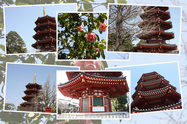 春の川崎大師「八角五重塔」/癒し憩い画像データベース 春の川崎大師「八角五重塔」/癒し憩い画像データベース