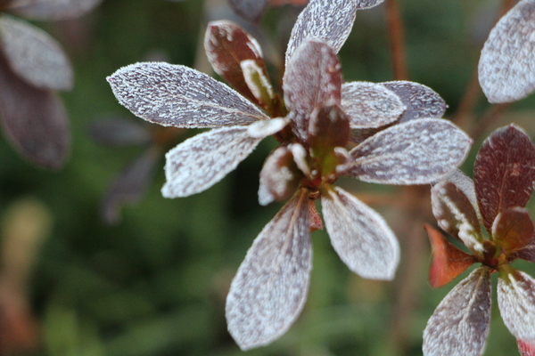 �����դ����ߤΥĥĥ�����/�����Ƥ������ǡ����١���