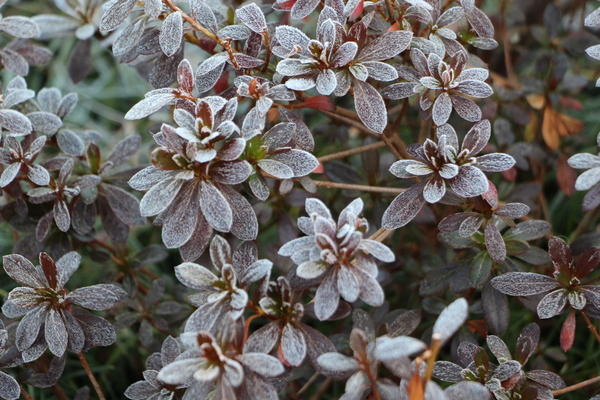 �ߤΥĥĥ��������դ����ա�/�����Ƥ������ǡ����١���