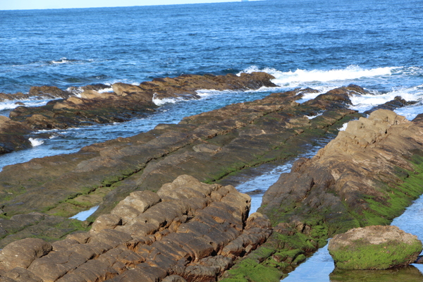 �˲�����ʤδ����/�����Ƥ������ǡ����١���