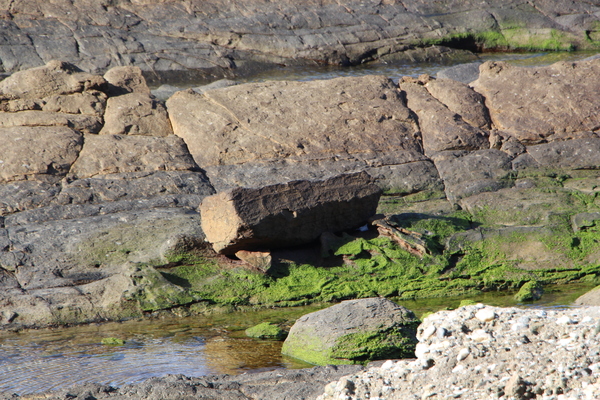 �˲�����ʤδ����/�����Ƥ������ǡ����١���