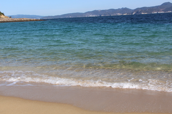 �˲�����ߤγ�������/�����Ƥ������ǡ����١���