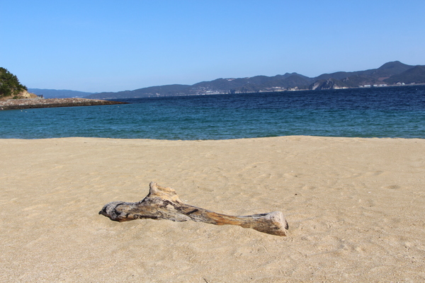 �˲��糤�����ֺ��ͤ�ή�ڡ�/�����Ƥ������ǡ����١���