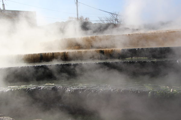 �ߤα��硦���Ͳ����ָ�������ê��/�����Ƥ������ǡ����١���