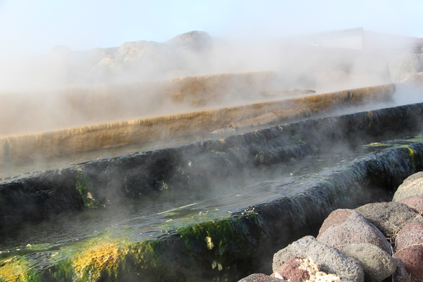 �ߤα��硦���Ͳ����ֲ����Фβ�������/�����Ƥ������ǡ����١���