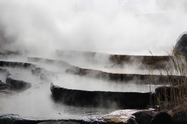 �ߤα��硦���Ͳ����ָ�������ê������/�����Ƥ������ǡ����١���