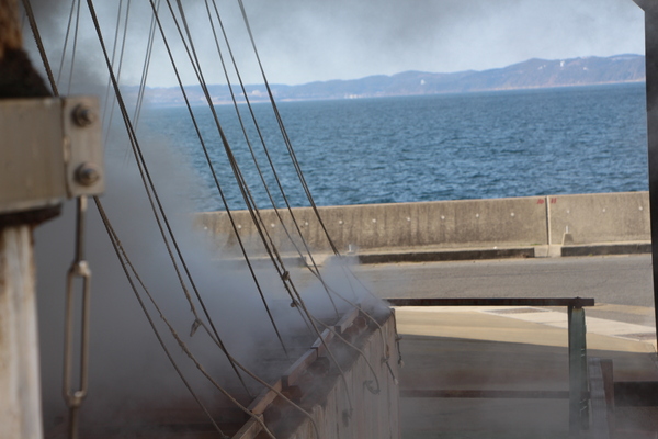 ���Ͳ�����̥�����ȳ���/�����Ƥ������ǡ����١���