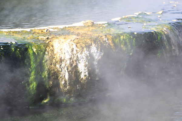 ���Ͳ������ФȲ����β�������/�����Ƥ������ǡ����١���