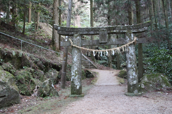 ���硦��Ϳ��ҡֻ�ƻ����Ļ���/�����Ƥ������ǡ����١���