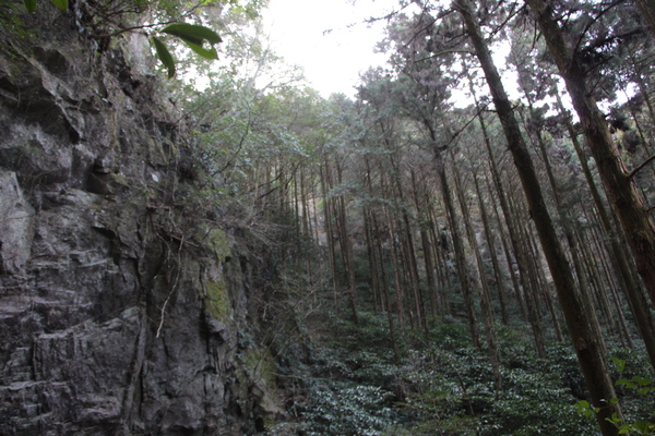 ���硦��Ϳ��ҡּ��դο��ȴ��ɡ�/�����Ƥ������ǡ����١���