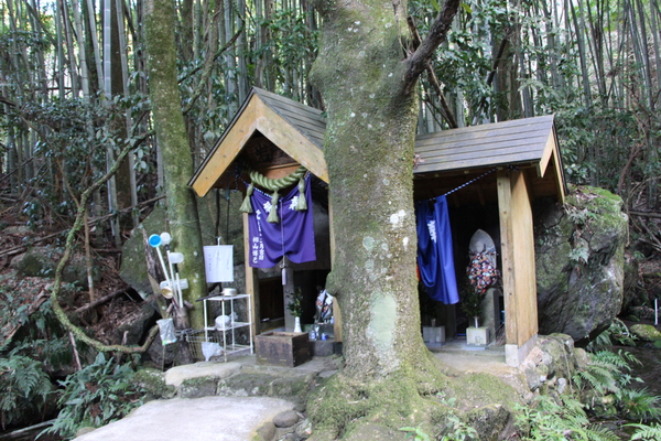 ����ִ��ͯ�������ҡ�/�����Ƥ������ǡ����١���