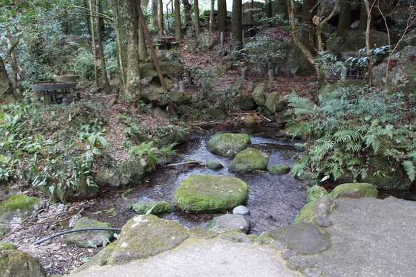 ����ֿ�����δ��ͯ���/�����Ƥ������ǡ����١���