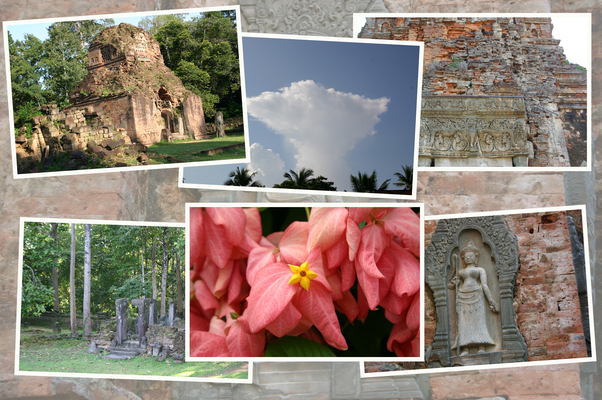 ���󥳡�����ס֥ץꥢ�������פȡ֥��쥤��/�����Ƥ������ǡ����١���