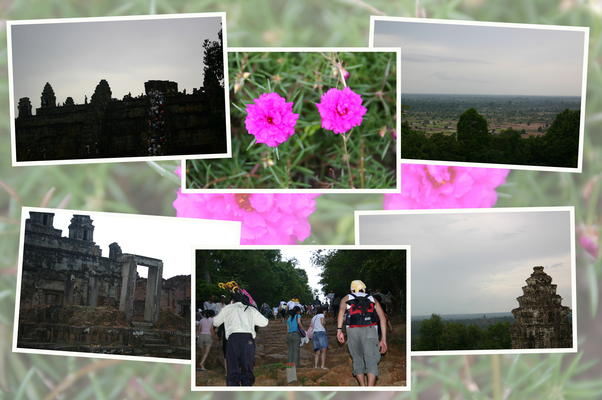 ���󥳡�����ס֥ץΥࡦ�Х��������/�����Ƥ������ǡ����١���