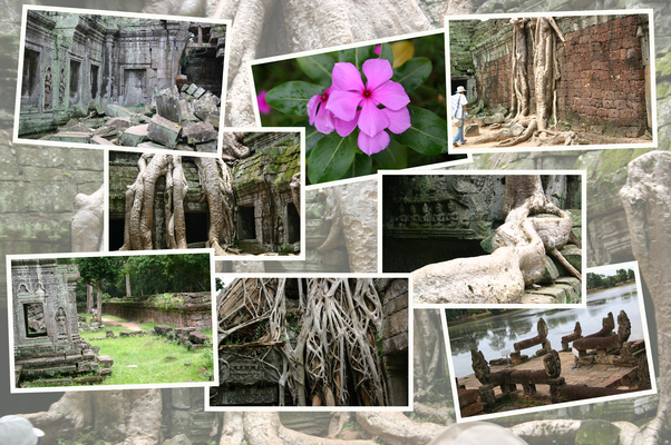 ���󥳡�����פΡ֥����ץ���������פȡ֥��顦������/�����Ƥ������ǡ����١���