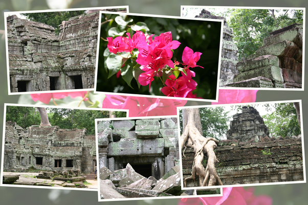 �����ץ�����Ʋ�Ȳ�ϭ��/�����Ƥ������ǡ����١���