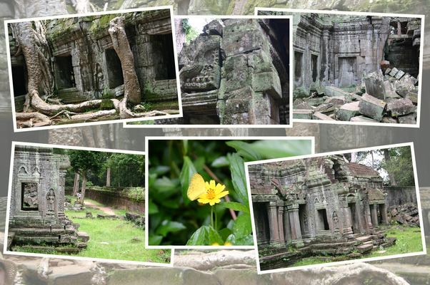 �����ץ���־����ץ����ŷ��������Ħ��줿�ɡ�/�����Ƥ������ǡ����١���