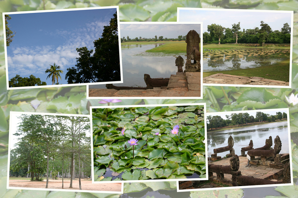 ���󥳡�����ס֥��顦������/�����Ƥ������ǡ����١���