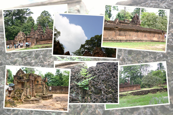 �Х�ƥ��������쥤�ּ��ɤ������/�����Ƥ������ǡ����١���