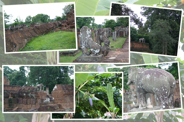 ���󥳡�����ס����ܥ��/�����Ƥ������ǡ����١���