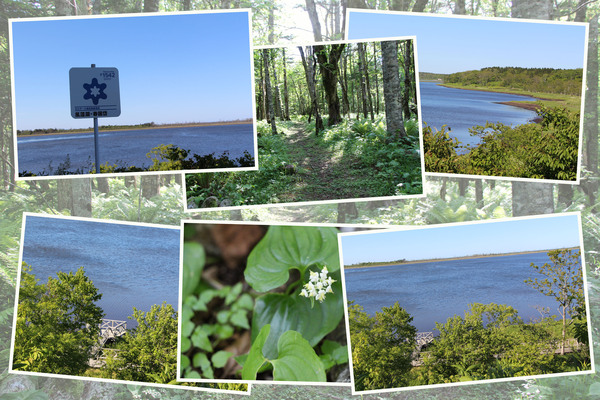 ƻ�졦�����ֿ��д�����ϡ�С�/�����Ƥ������ǡ����١���