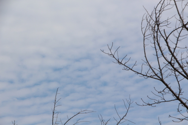 ���������ȸ���Ω/�����Ƥ������ǡ����١���