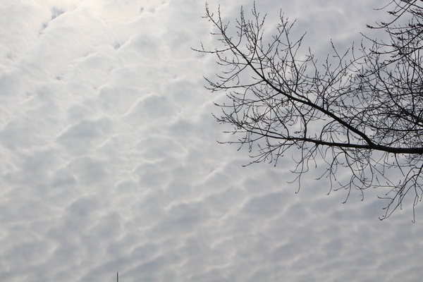 �ظ���ۤ������֤��������ȸ���Ω��/�����Ƥ������ǡ����١���