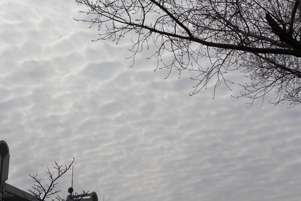 �ظ���ۤ������֤��������ȸ���Ω��/�����Ƥ������ǡ����١���