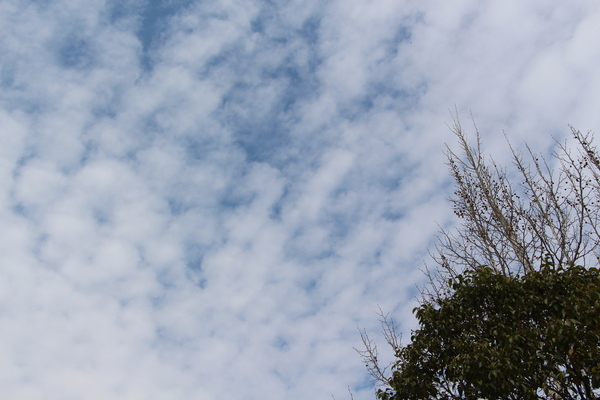 ��դΡ֤���������/�����Ƥ������ǡ����١���