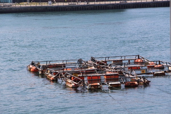 ���ء���͹�����ͻԾ�ؤ������ǡ�/�����Ƥ������ǡ����١���