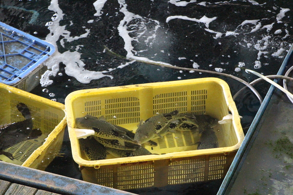 ���ء���ͻԾ�֥ե��������ǡ�/�����Ƥ������ǡ����١���