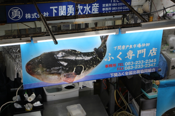 ���ء���ͻԾ�֤դ�����Ź�δ��ġ�/�����Ƥ������ǡ����١���