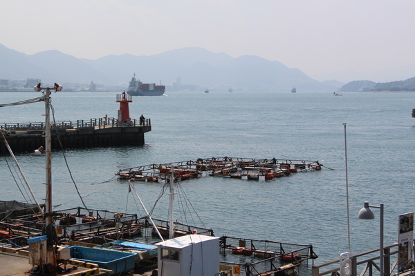 ���ء���͹��ֻ����������ǡ�/�����Ƥ������ǡ����١���